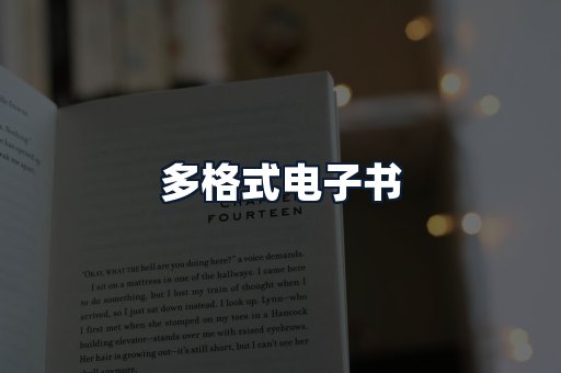 多格式电子书